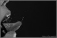 /album/annick/mg-7527-jpg/