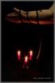 /album/annick/mg-7477-jpg/