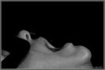 /album/annick/mg-7553-jpg/