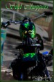 /album/moto/sud-choppers-jpg1/
