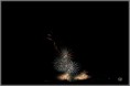 /album/feux-d-artifices/mg-6554g-jpg/
